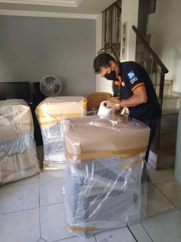 Imagem ilustrativa de Empresa para embalar mudanças